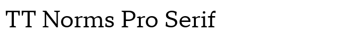 TT Norms Pro Serif